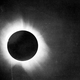 Illustration for article titled Scientists Feel Gravity's Pull Towards Eclipse Logic